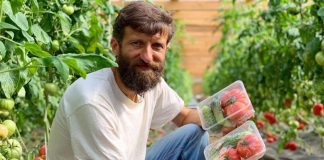 Здоровый фастфуд, семья и покорение городов