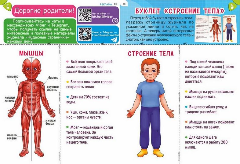 ЧС-2102. Журнал для детей «Чудесные странички» №86 — изображение 5