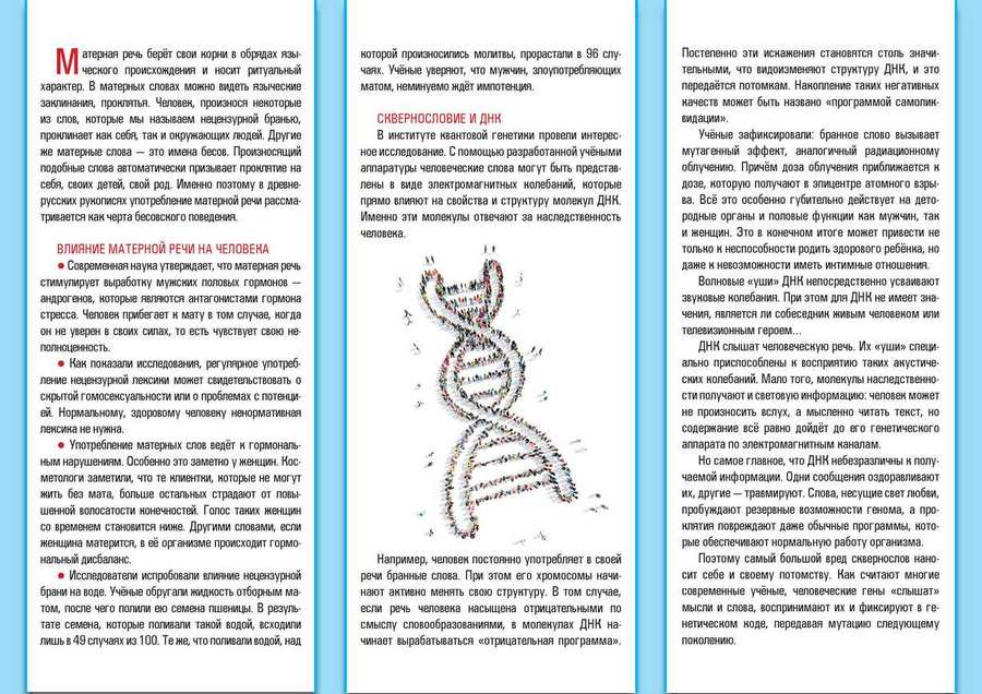 КЗ-16. Язык мой - враг мой — изображение 2