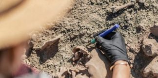Главные новости Библейской археологии за 2021 год
