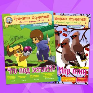 Чудесные странички 2018