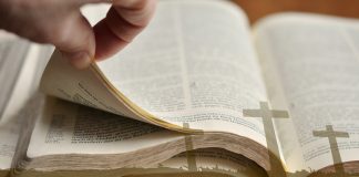 Книга, пылящаяся на полке