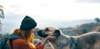 Библия об отношении к животным