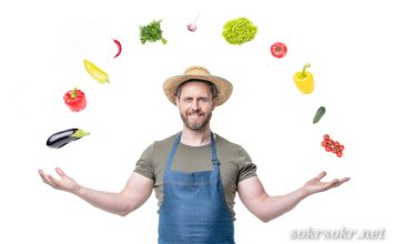 Слоны и вегетарианцы — что общего?