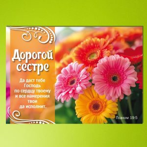 ОП2402. Дорогой сестре