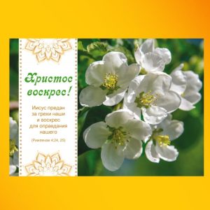 ОР2401. Христос воскрес!
