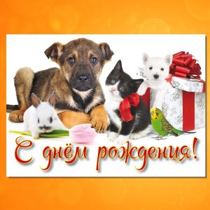 ОД-1503. С Днем Рождения!