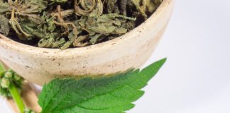 На подножном